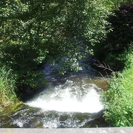 Pichou * Paliseul